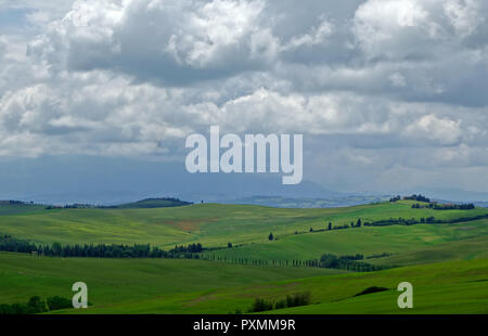 "VAL D'ORCIA. Toskana Stockfoto