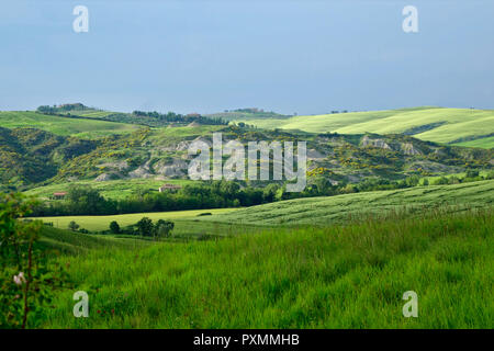 "VAL D'ORCIA. Toskana Stockfoto