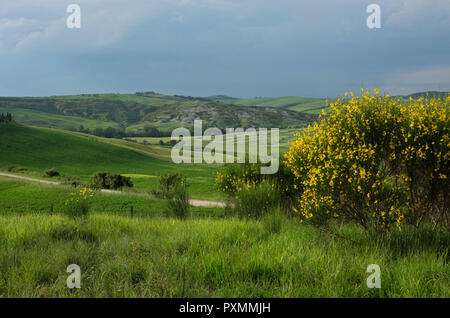 "VAL D'ORCIA. Toskana Stockfoto