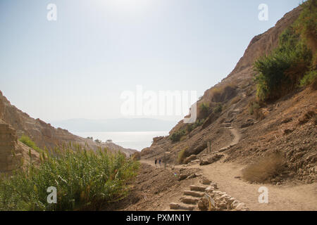 Pfad in der Nähe der Oase Ein Gedi Natioanl Park, dem Toten Meer im Hintergrund, Israel. Stockfoto