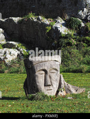 Holz- Skulptur in Zoll Feld hinter Cahir Castle, County Tipperary, Irland Stockfoto