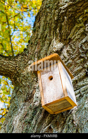 Birdhouses wie dieser sie viel in Litauen finden können. Die litauischen Menschen lieben die Natur, Fauna und Flora. Sie interessieren sich für Harmonie zwischen Mensch und Na Stockfoto