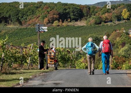 Ahrtal, Rheinland-Pfalz, Deutschland, ein paar der klassischen Drehorgel Spieler auf der beliebten Rotweinwanderweg (Rotwein Wanderweg) zusammen Stockfoto