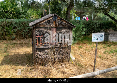 Insekt hotel, Parc Ornithologique, Pont de Gau, Saintes Maries de la Mer, Bouches du Rhône, Frankreich. Stockfoto