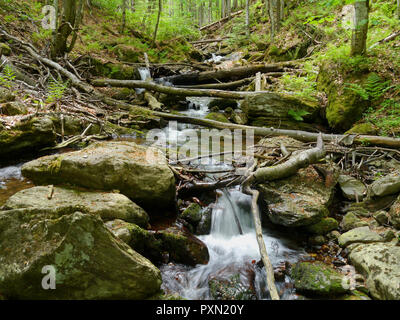 Stream Höllbachgspreng, bewaldeten Felsmassiv unterhalb der großen Falenstein Berg, im Nationalpark Bayerischer Wald Stockfoto