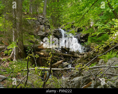 Wasserfall Höllbachgspreng, bewaldeten Felsmassiv unterhalb der großen Falenstein Berg, im Nationalpark Bayerischer Wald Stockfoto