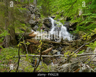 Wasserfall Höllbachgspreng, bewaldeten Felsmassiv unterhalb der großen Falenstein Berg, im Nationalpark Bayerischer Wald Stockfoto