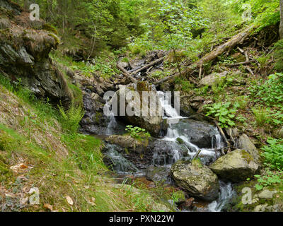 Wasserfall Höllbachgspreng, bewaldeten Felsmassiv unterhalb der großen Falenstein Berg, im Nationalpark Bayerischer Wald Stockfoto