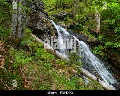 Wasserfall Höllbachgspreng, bewaldeten Felsmassiv unterhalb der großen Falenstein Berg, im Nationalpark Bayerischer Wald Stockfoto