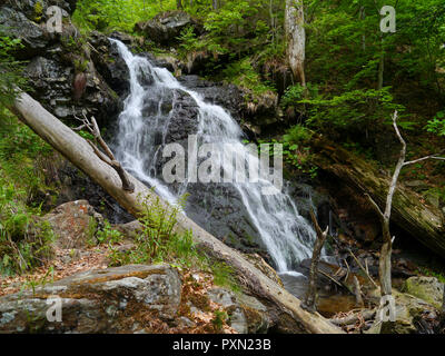 Wasserfall Höllbachgspreng, bewaldeten Felsmassiv unterhalb der großen Falenstein Berg, im Nationalpark Bayerischer Wald Stockfoto