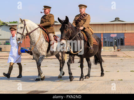 Drei Soldaten der Royal Army Veterinary Corps, tragen authentische WW1 Armee Uniformen. Zwei reiten Maultiere der anderen als Chirurg gekleidet. Stockfoto