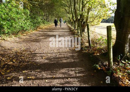 Menschen zu Fuß in den Wäldern bei Tyninghame, East Lothian Stockfoto