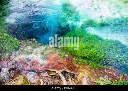 Die blauen Augen-Syri i Kaltër, Wasser Frühling in der Nähe von Muzinë in Vlora County, im südlichen Albanien, Europa Stockfoto