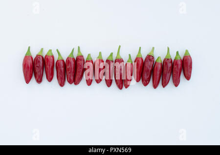 Scharfe rote Chili Pfeffer Gemüse in Linie angeordnet isoliert Stockfoto