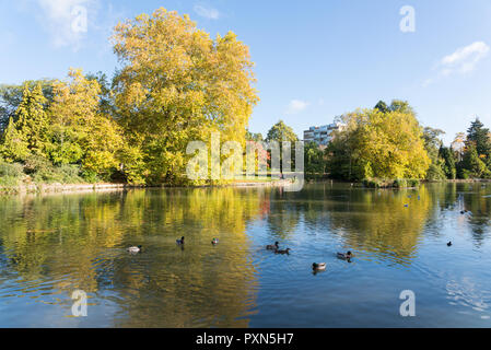 Der See bei Pittville Park in Cheltenham in herbstlichen Farben an einem sonnigen Tag Stockfoto