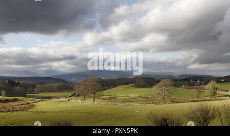 Welsh grüne Hügel mit den Bergen im Hintergrund. Snowdonia National Park in der Nähe von Betys-y-coed, Conwy, Wales. Stockfoto