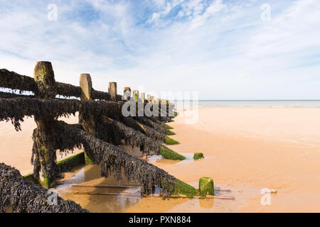 Strand Teiler geschossen, um den Horizont der Suche Stockfoto