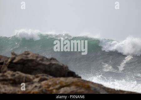 Große grüne Welle in einem sonnigen Tag. Portugiesische Küste. Stockfoto