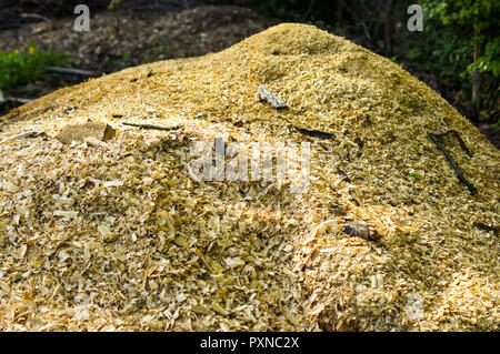 Sägespäne und Staub aus Holz bei einem Sägewerk nach Holzverarbeitung. Für ihr Design Stockfoto