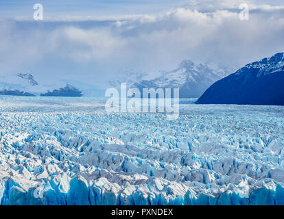 Der Gletscher Perito Moreno, Erhöhte Ansicht, Nationalpark Los Glaciares, Provinz Santa Cruz, Patagonien, Argentinien Stockfoto