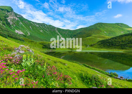 Alpenrosenbluete, Panorama ueber den Schlappoldsee, Allgäuer Alpen, Allgäu, Bayern, Deutschland, Europa Stockfoto