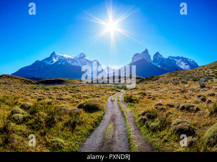 Blick Richtung Paine Grande und Cuernos Del Paine Torres del Paine Nationalpark, Patagonien, Chile Stockfoto