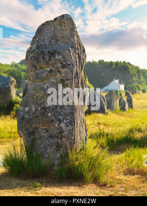 Frankreich, Bretagne, Morbihan, Carnac, megalithischen menhir Ausrichtungen der Menec Stockfoto