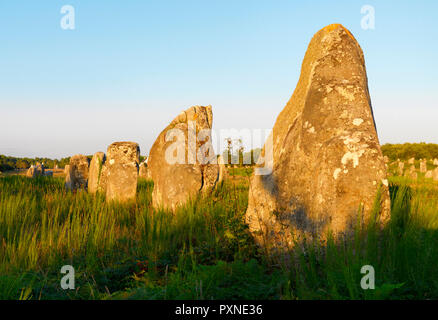 Frankreich, Bretagne, Morbihan, Carnac, megalithischen menhir Ausrichtungen der Menec Stockfoto