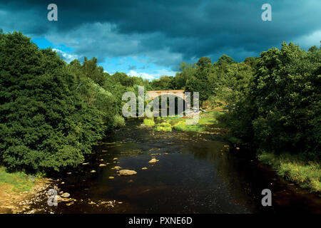 Die Alte Brücke und die Avon Avon Wasser, Chatelherault Country Park, Hamilton, South Lanarkshire Stockfoto