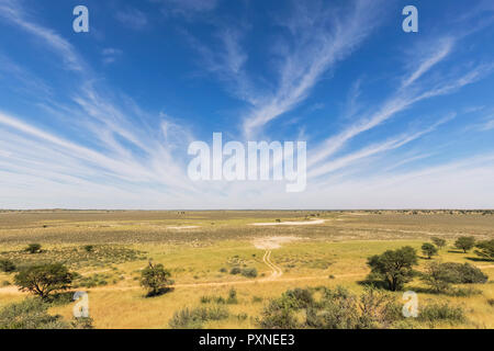 Afrika, Botswana, Kgalagadi Transfrontier Park, Kalahari, Polentswa Pan und Wasserloch Stockfoto