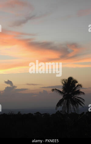 Überblick über tropische Vegetation gegen Dramatischer Himmel in Ghana, Westafrika Stockfoto