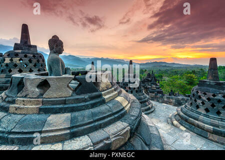 Buddha Statue, Candi Borobudur buddhistischen Tempel, Muntilan, Java, Indonesien Stockfoto