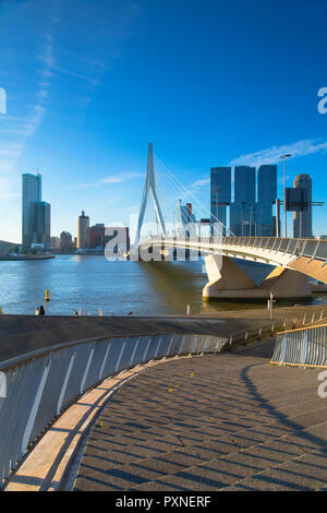 Erasmus Brücke (erasmusbrug), Rotterdam, Zuid Holland, Niederlande Stockfoto
