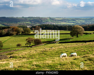 Blick über Nidderdale im Herbst von Guise Felsen in der Nähe Pateley Bridge North Yorkshire England Stockfoto