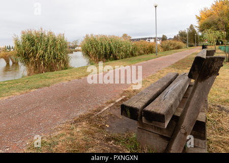 Einsame Holzbank im Herbst Park unter verlässt Stockfoto, Bild