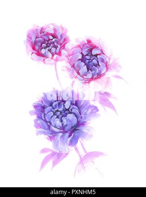 Aquarell Blumen. Blühende rosa Pfingstrose. Aquarell Hintergrund. Stockfoto