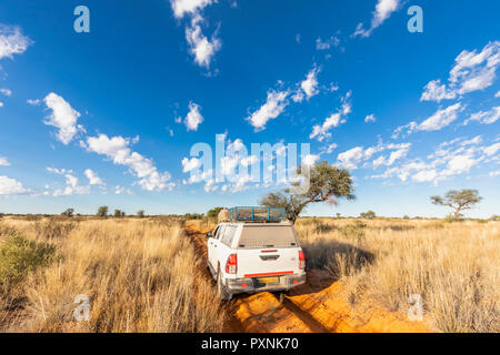 Afrika, Botswana, Kgalagadi Transfrontier Park, Mabuasehube Game Reserve, Off-Road-Fahrzeug auf Sand, Anschluss Stockfoto