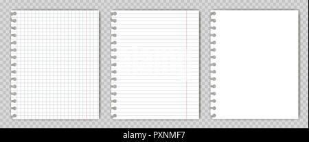 Satz von leere Kopie Buch blättern mit Gerissene Kanten. Mockup oder Vorlage von Graph Editor Seite für Ihren Text. Stock Vektor