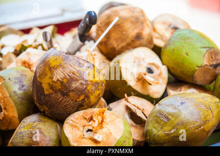 Straße Verkauf von Kokosnuss Wasser, das in der ummauerten Stadt Cartagena de Indias Stockfoto