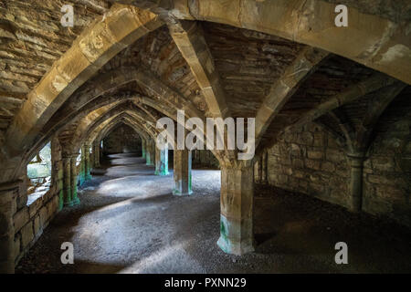 Finchale Priory, Durham, England, Vereinigtes Königreich, Europa Stockfoto