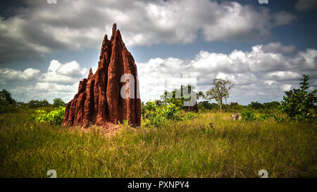 Savannenlandschaft mit den Termiten Damm in Ghana Stockfoto