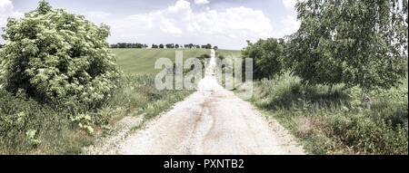 Country Road, Slowakei, Felder um Jaslovske Bohunice Stockfoto