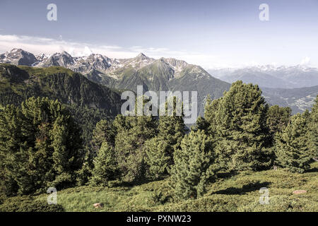 Apls in der Nähe von Jerzens, Tirol, Österreich Stockfoto