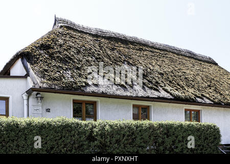 Dorf Vitt, Kap Arkona, Insel Rügen, Mecklenburg-Vorpommern, Deutschland Stockfoto