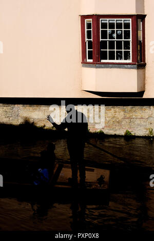 Punting auf dem Fluss Cam, Cambridge, Großbritannien Stockfoto