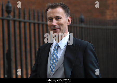 Außenminister macht sich auf den Weg, um an der Horse Guards Parade, London, für die zeremonielle Willkommen für König und Königin Maxima Willem-Alexander der Niederlande Staatsbesuch in Großbritannien. Stockfoto