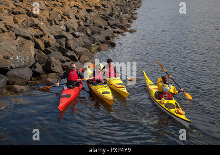 Vier Kanuten auf dem Fluss Clyde in der Nähe von Helensburgh, drei mit gelben Kanus und einem mit rot. Stockfoto