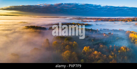 Antenne Panoramablick auf Nebel im Herbst, Litauen Stockfoto