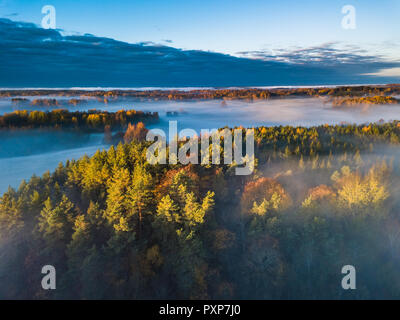 Luftaufnahme von Nebel im Herbst, Litauen Stockfoto