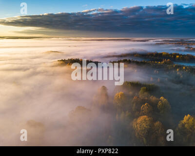 Luftaufnahme von Nebel im Herbst, Litauen Stockfoto